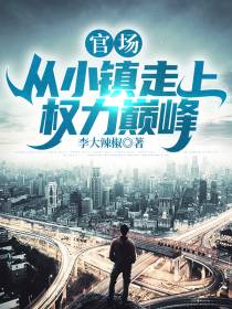 官场：从小镇走上权力巅峰
