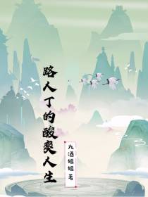 路人丁的酸爽人生