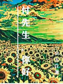 付先生,你好