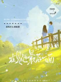 在见他最后一面