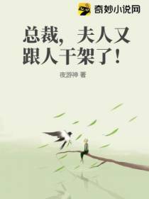 总裁,夫人又跟人干架了！