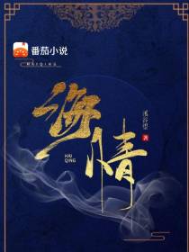 海情
