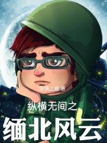 纵横无间之缅北风云
