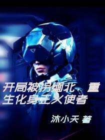开局被拐缅北,重生化身正义使者