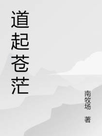 道起苍茫