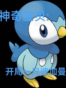 神奇宝贝：开局一只波加曼