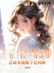 三宝驾到,总裁爹地跪下追妈咪