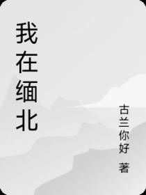 我在缅北