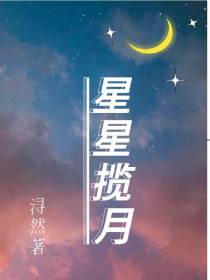 星星揽月