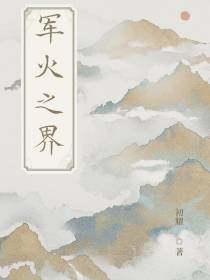 军火之界
