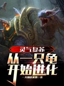 灵气复苏,从一只龟开始进化