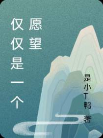 仅仅是一个愿望
