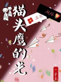 猫头鹰的光