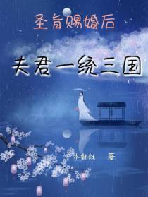 圣旨赐婚后,夫君一统三国