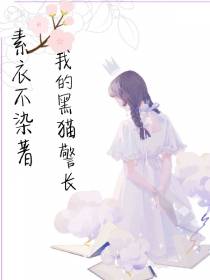 我的黑猫警长