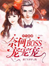 契约暖婚：奈何BOSS宠宠宠