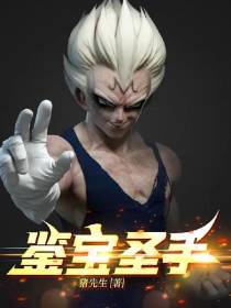 鉴宝圣手