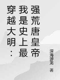 穿越大明：我是史上最强荒唐皇帝