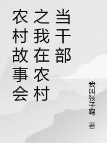 农村故事会之我在农村当干部