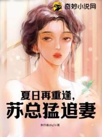 夏日再重逢,苏总猛追妻