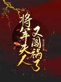 将军夫人又闯祸了