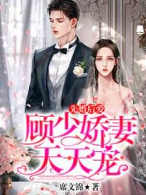 先婚后爱,顾少娇妻天天宠