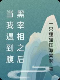 当我遇到腹黑宰相之后