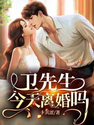 卫先生,今天离婚吗