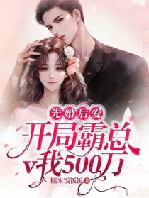 先婚后爱,开局霸总v我500万