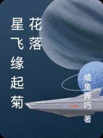星飞缘起菊花落
