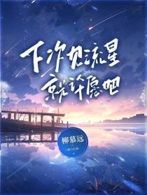 下次见流星就许愿吧