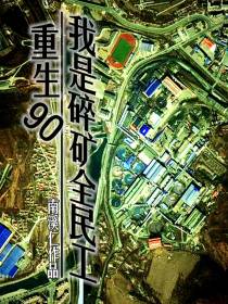 重生90,我是碎矿全民工