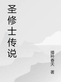 圣修士传说