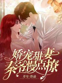 娇宠甜妻：秦爷,慢点撩