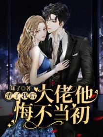 渣了我后,大佬他悔不当初