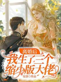 离婚后,我生了三个缩小版大佬
