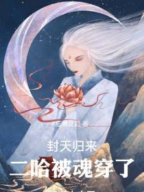 封天归来二哈被魂穿了