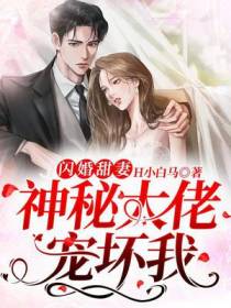 闪婚甜妻,神秘大佬宠坏我