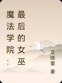 魔法学院：最后的女巫