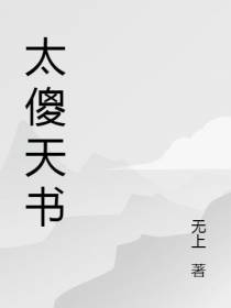 太傻天书
