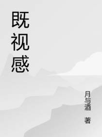 既视感