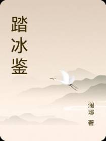 踏冰鉴