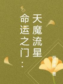 命运之门：天魔流星