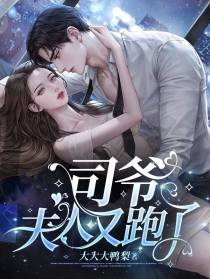 司爷,夫人又跑了