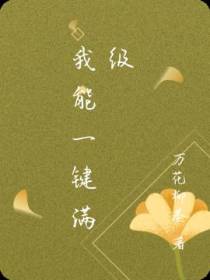 我能一键满级