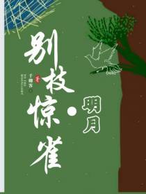 明月别枝惊雀