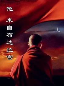 他来自布达拉宫