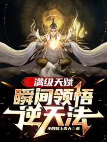 满级天赋,瞬间领悟逆天法