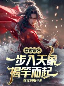 昏君赐死,一步入天象揭竿而起