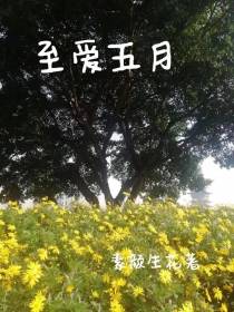 至爱五月